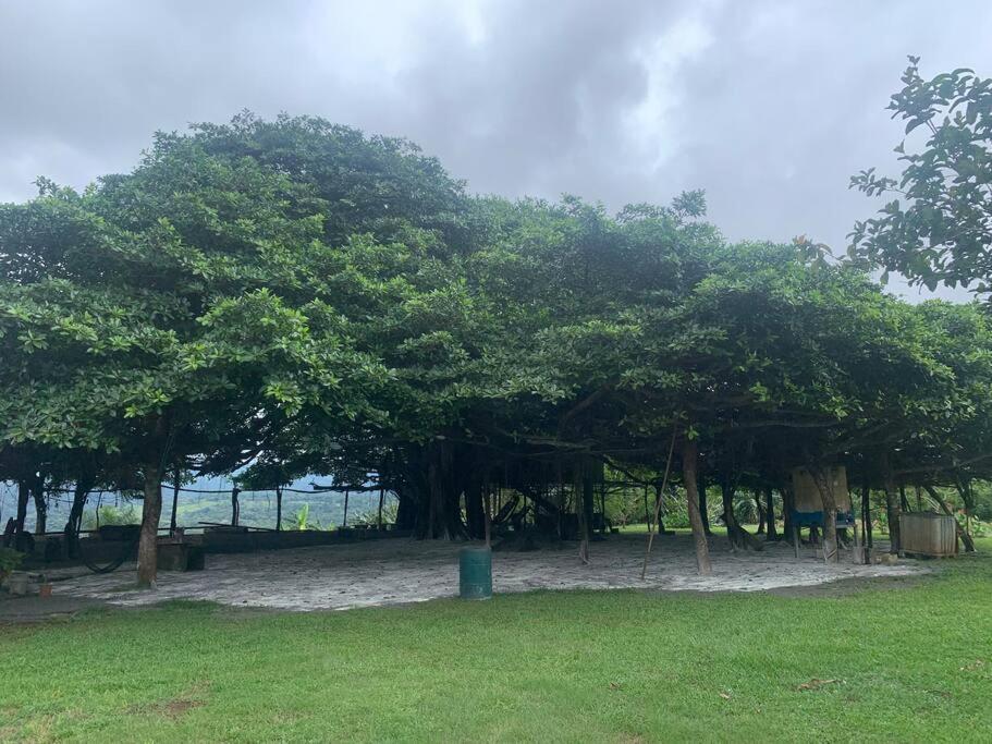Disfruta Del Contacto Con La Naturaleza Apartment Puntarenas Ngoại thất bức ảnh